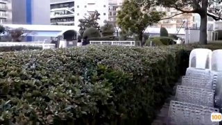 欧美AA片在线观看_欧美亚洲精品成人视频